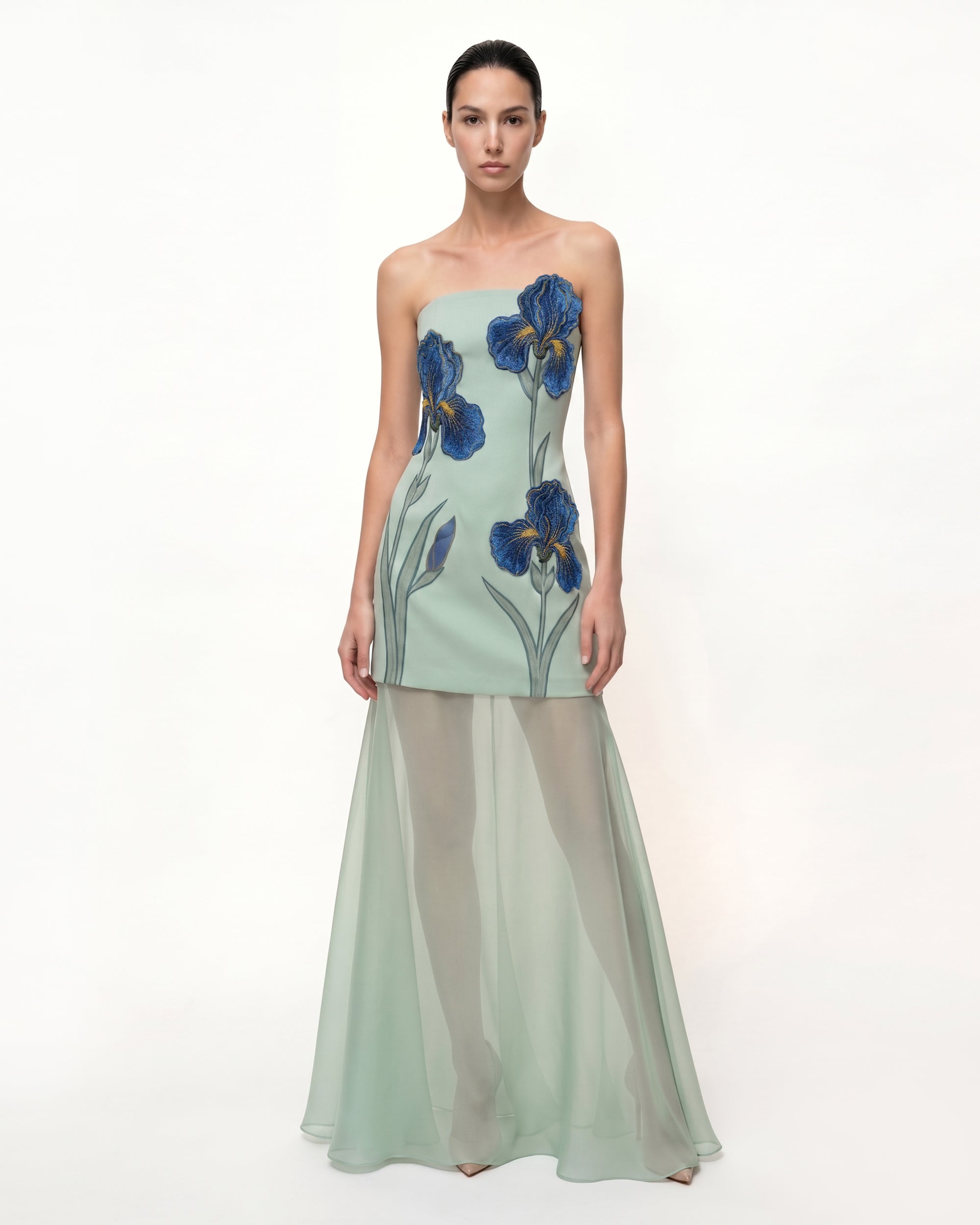 Iris Embroidered Strapless Sheer Overlay Maxi Dress - Sage Green