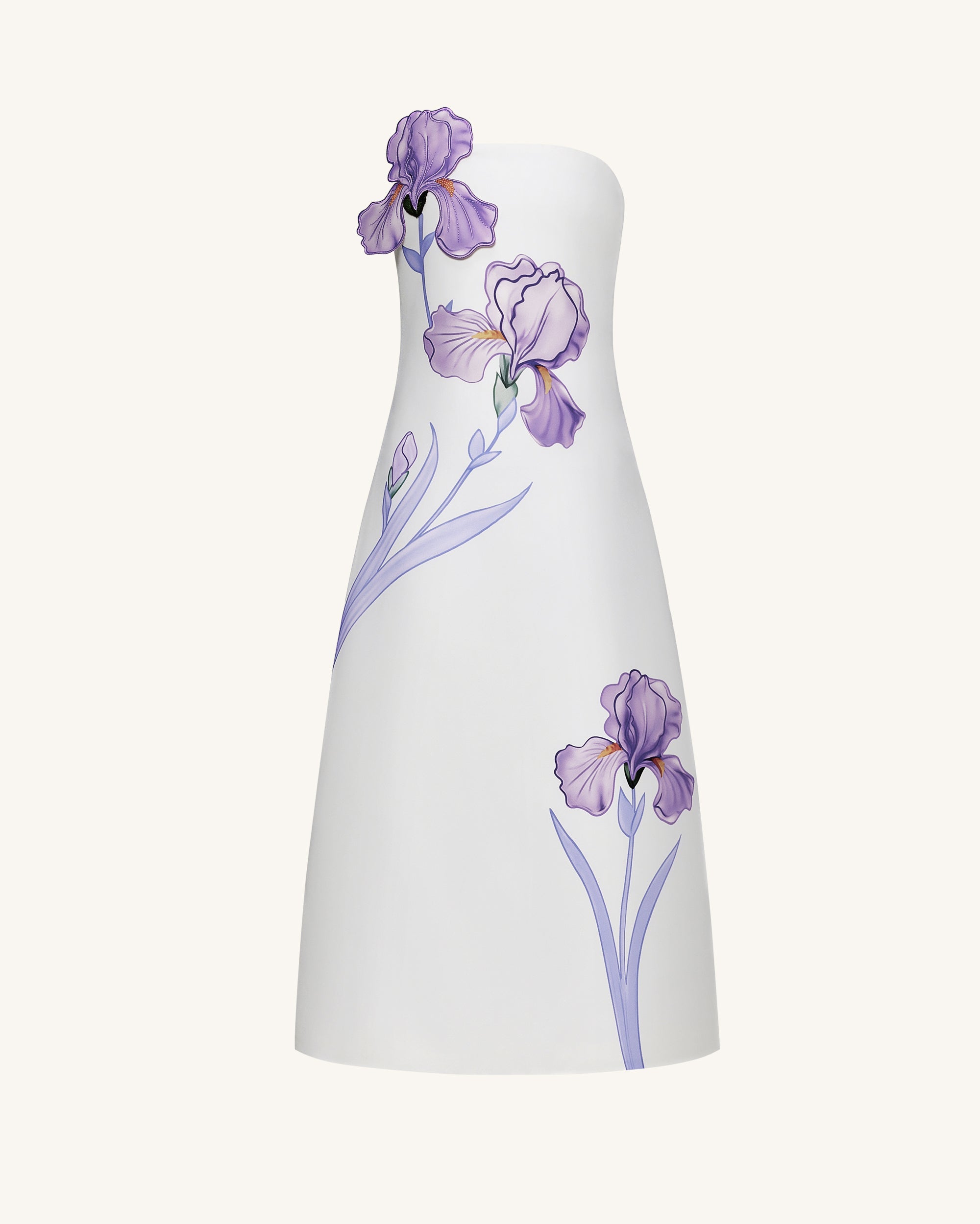 Iris Floral Print Strapless A-Line Maxi Dress - White