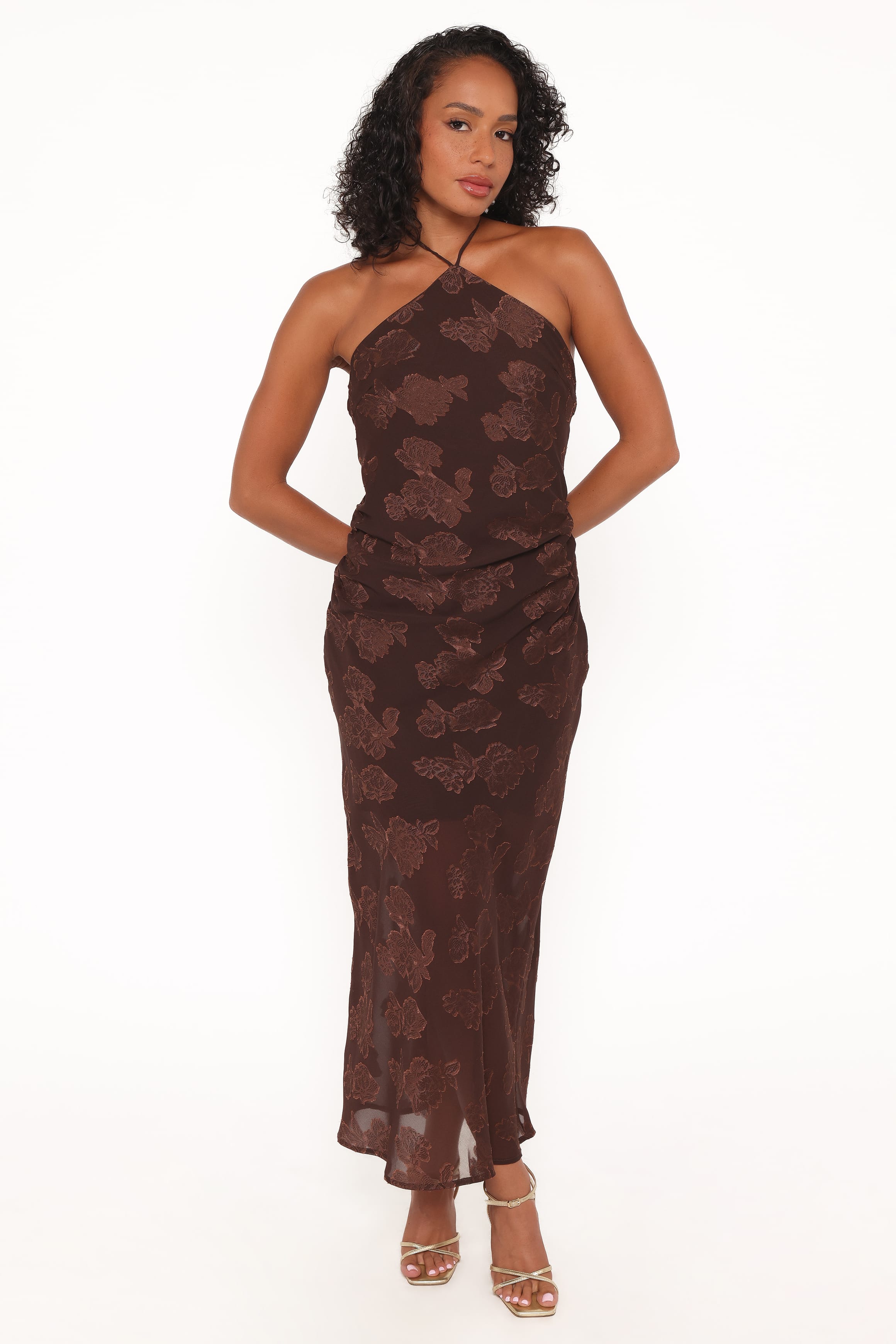 Remy Halterneck Maxi Dress - Brown